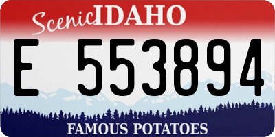 ID license plate E553894