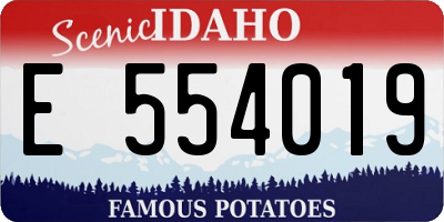 ID license plate E554019