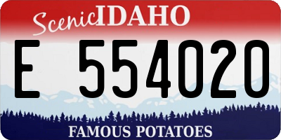 ID license plate E554020