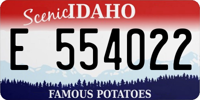 ID license plate E554022