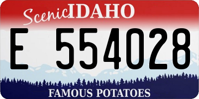 ID license plate E554028