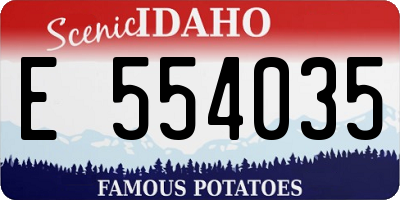 ID license plate E554035
