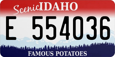 ID license plate E554036
