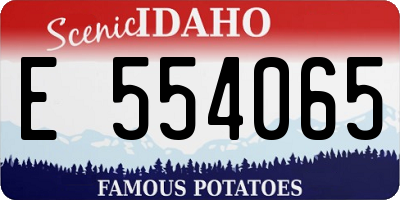 ID license plate E554065