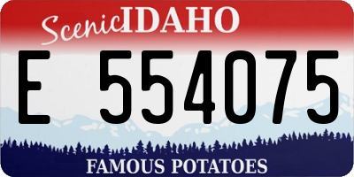 ID license plate E554075