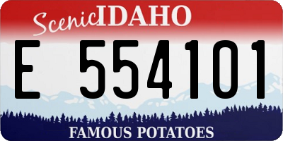ID license plate E554101