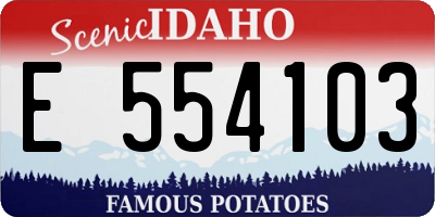 ID license plate E554103