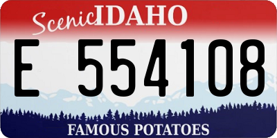 ID license plate E554108