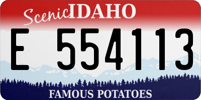 ID license plate E554113