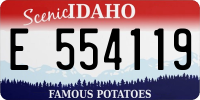 ID license plate E554119