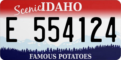ID license plate E554124