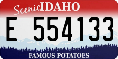 ID license plate E554133