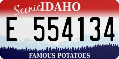 ID license plate E554134