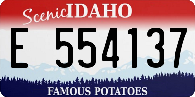 ID license plate E554137