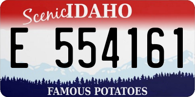 ID license plate E554161