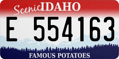 ID license plate E554163