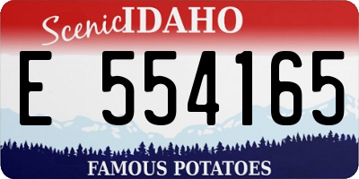 ID license plate E554165