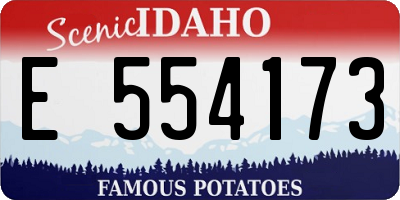 ID license plate E554173