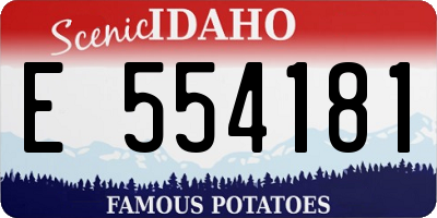 ID license plate E554181