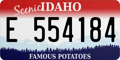 ID license plate E554184