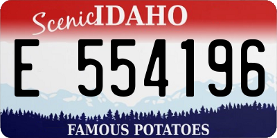 ID license plate E554196
