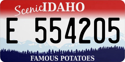 ID license plate E554205