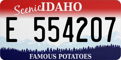 ID license plate E554207