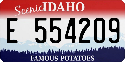 ID license plate E554209