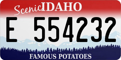 ID license plate E554232