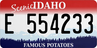 ID license plate E554233