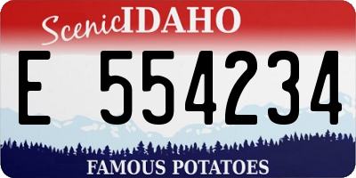 ID license plate E554234