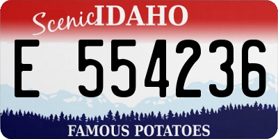 ID license plate E554236