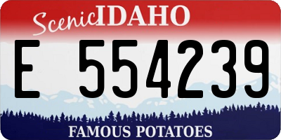 ID license plate E554239
