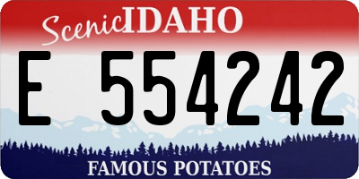 ID license plate E554242