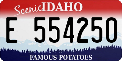 ID license plate E554250