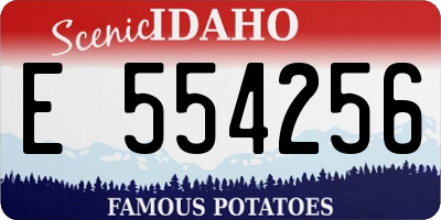 ID license plate E554256