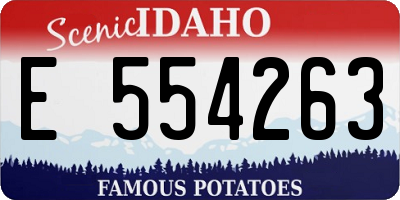 ID license plate E554263