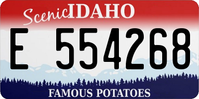ID license plate E554268