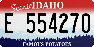 ID license plate E554270