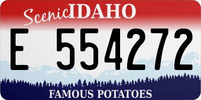 ID license plate E554272
