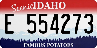 ID license plate E554273