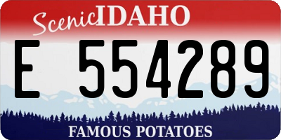 ID license plate E554289