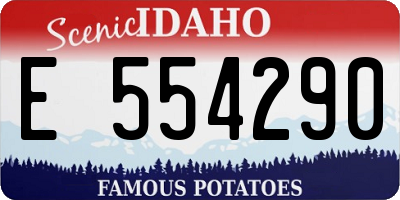 ID license plate E554290