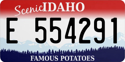 ID license plate E554291