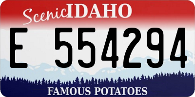 ID license plate E554294