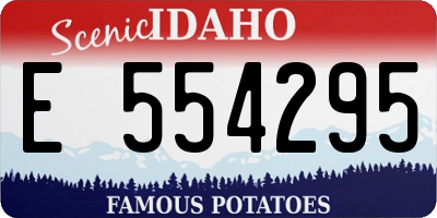 ID license plate E554295