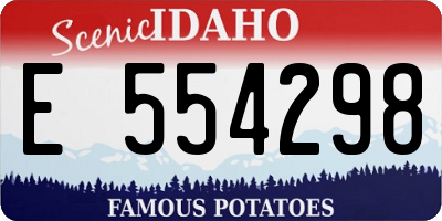 ID license plate E554298