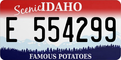 ID license plate E554299