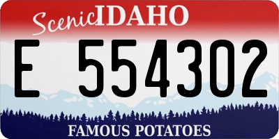 ID license plate E554302