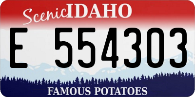 ID license plate E554303